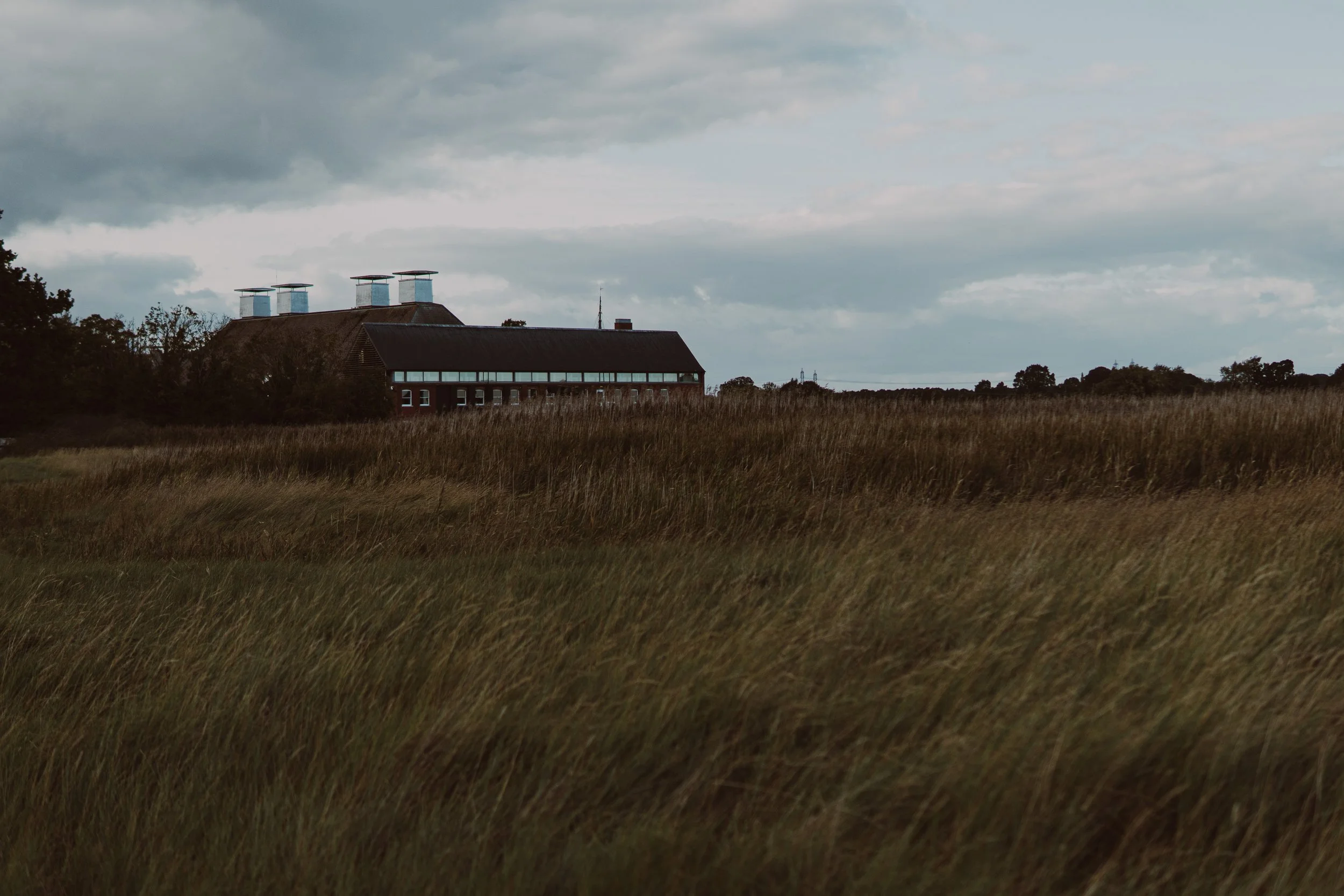 A large building with a dark roof and white chimneys, partially obscured by tall grass, under a cloudy sky.