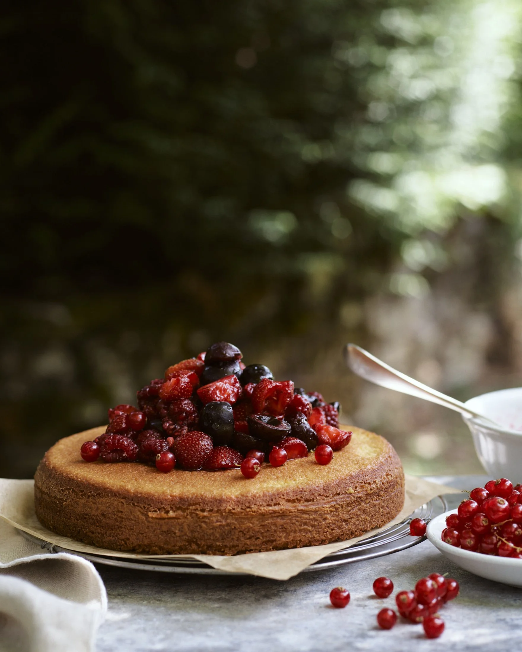 Olive Oil Cake
