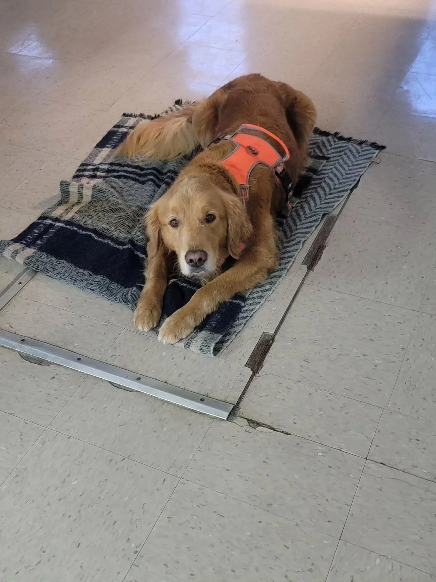 Cooper is here to register everyone for the Winter Moon bird count! Join us today (Thursday Dec. 4th) to celebrate the Kesikewiku's (ges-ig-gay-we-goos) / Winter Moon with a Winter Moon bird count. This us part of the Nukumi's Teachings series of eve