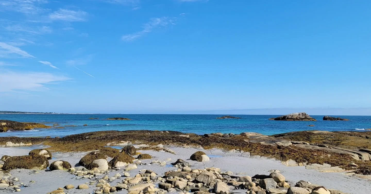 Pemsik Mawa'tasikl Anko'tmu'kl, a place we will leave for our children, our future generations, and seven generations ahead. 

Full of life. Land. Ocean. Medicine.

#pemsikmawatasiklankotmukl #pemsik #pemsikconservationmosaic 
#indigenouswomaninconse