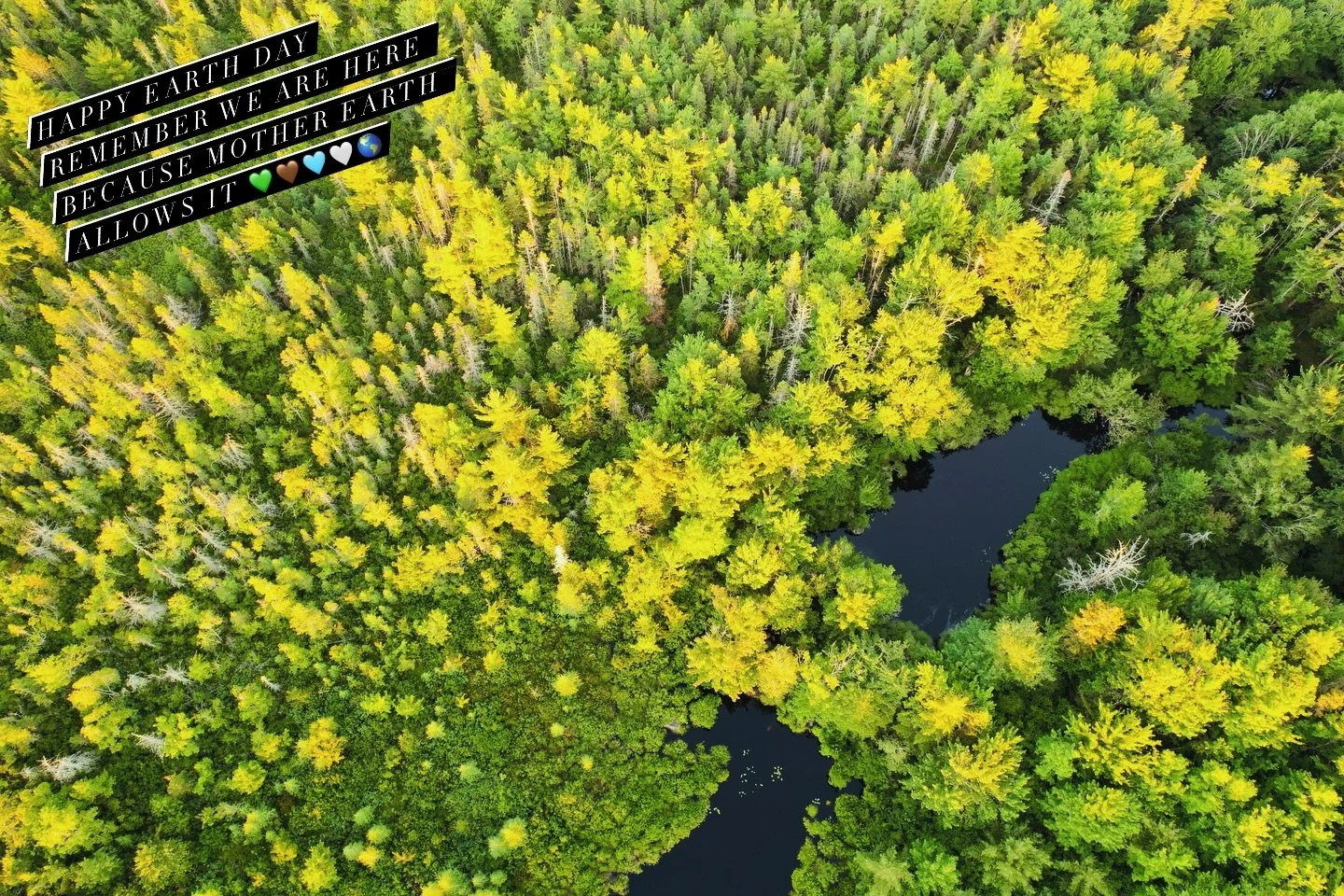 We are here as children of Mother Earth. Let&rsquo;s start honouring &amp; respecting our Mother the way she deserves. 
When and why did we stop treating her respectfully?
We would not exist without her guidance, love, support and help. All the thing