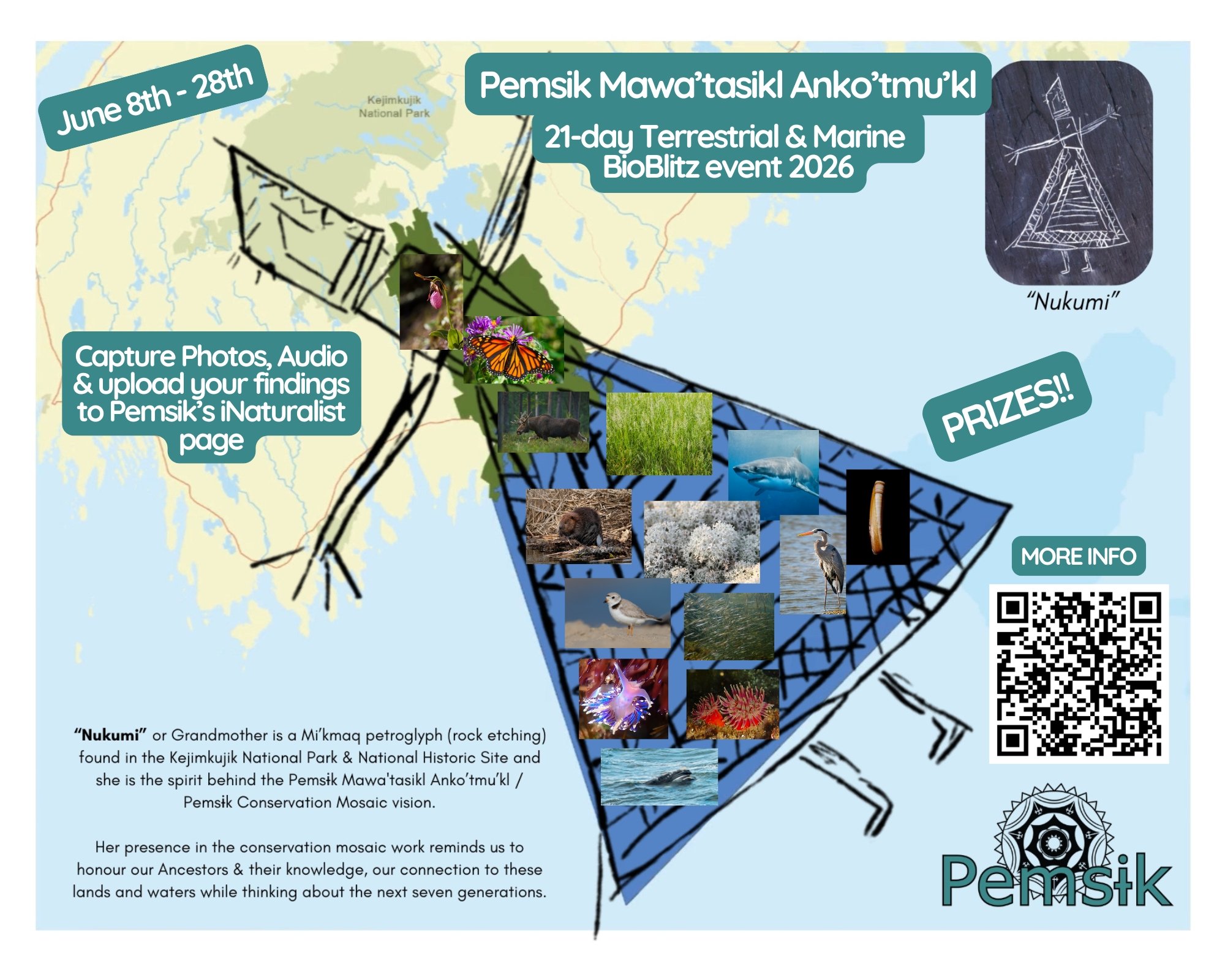 Join us for the 2026 Pemsɨk Mawa'tasikl Anko'tmu'kl BioBlitz!

We hope to make this our BEST year yet with your help!

The terrestrial (land) to marine (ocean) and everything in-between is a very important network of systems and community working tog