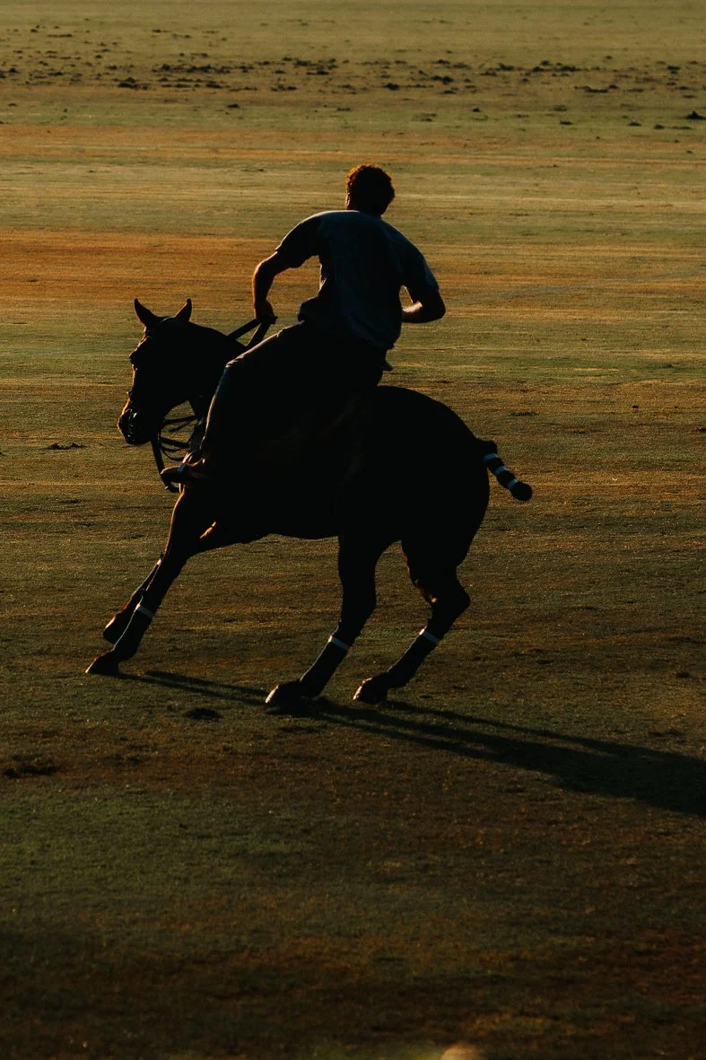 Sparviero-cup-polo-luca-orsi-photography.jpg