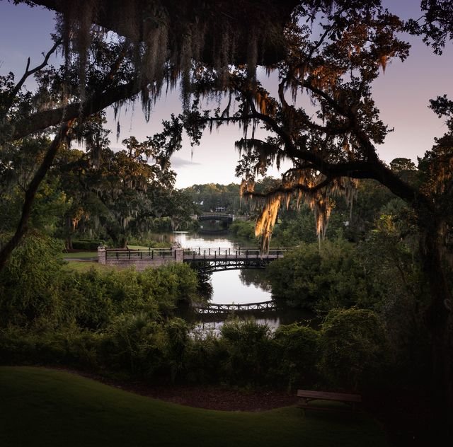 l1050671-edit-edit-edit-edit-1601928579.jpg