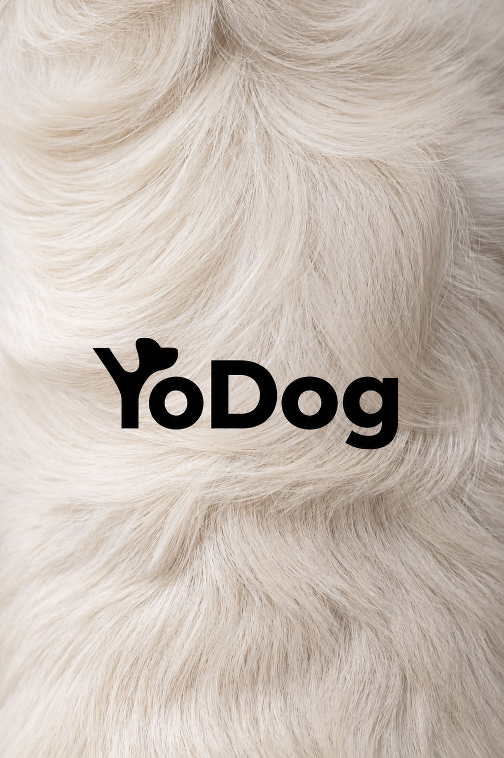 yodog-original-fur-black-logo.png
