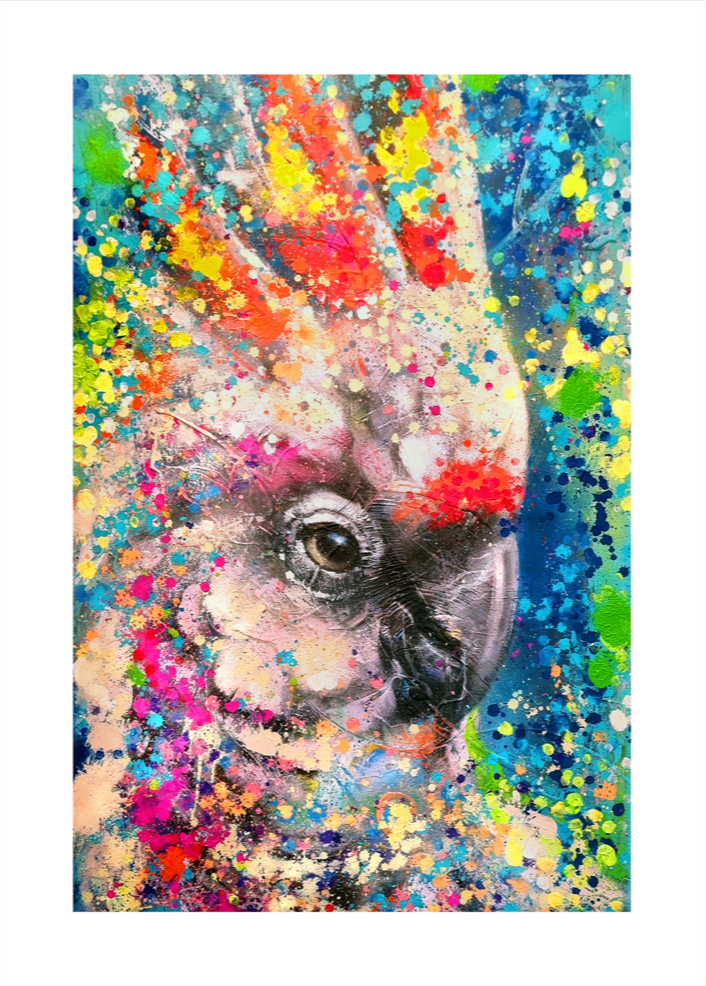 Kakadue 50 x 70 cm. Klik for at se fuld størrelse.