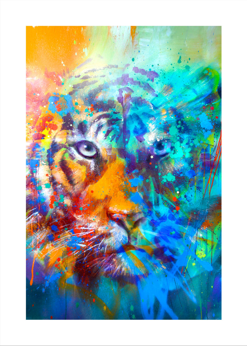 Tiger 50 x 70 cm. Klik for at se fuld størrelse.