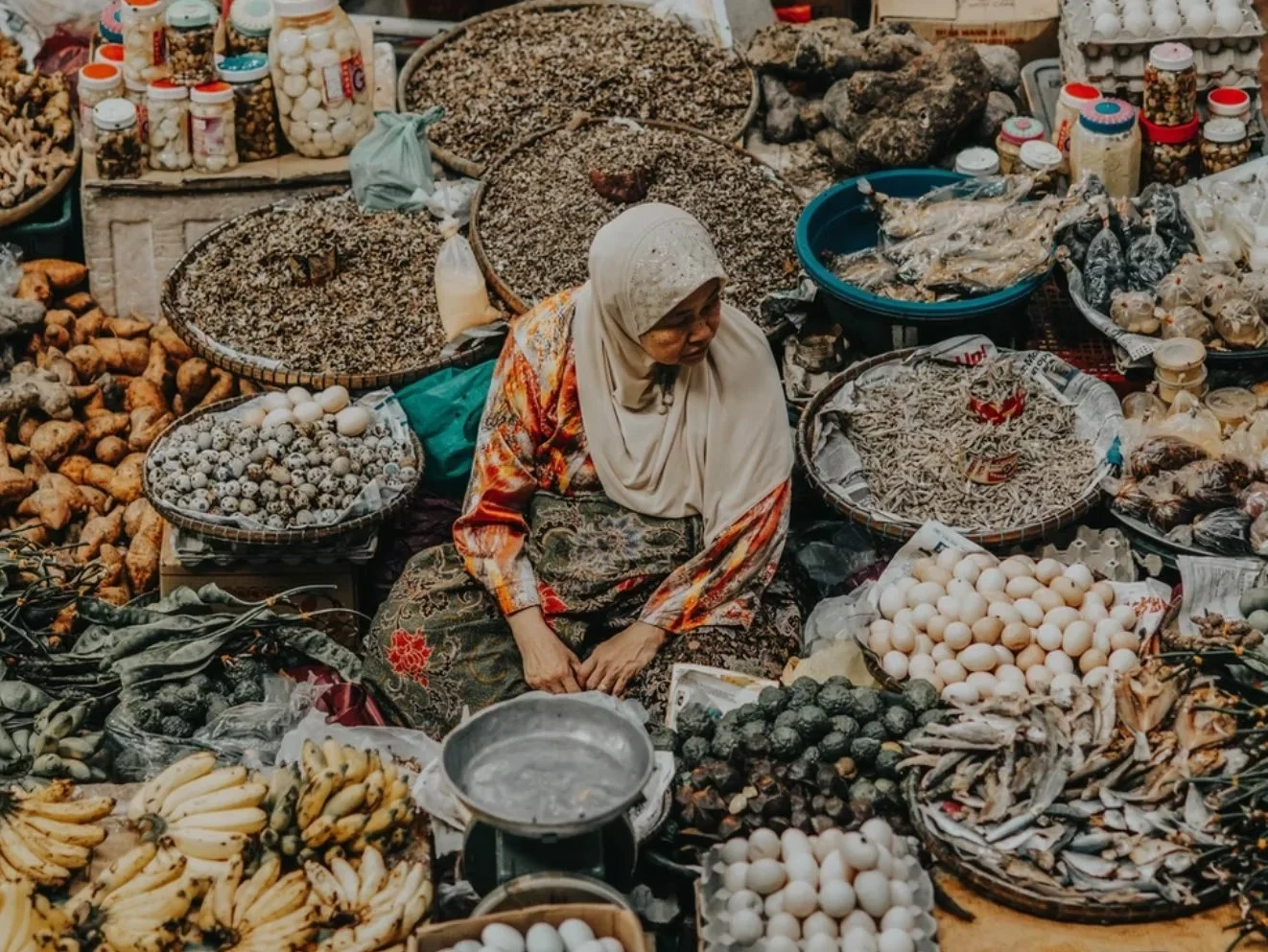 Supporting sustainability and empowering enterprise
