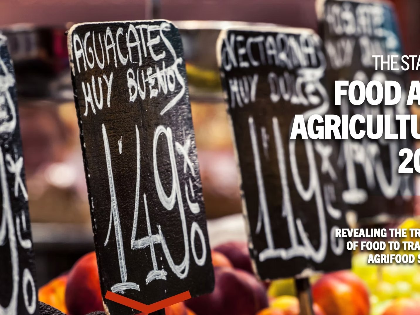 The environmental, social and health cost of agrifood systems