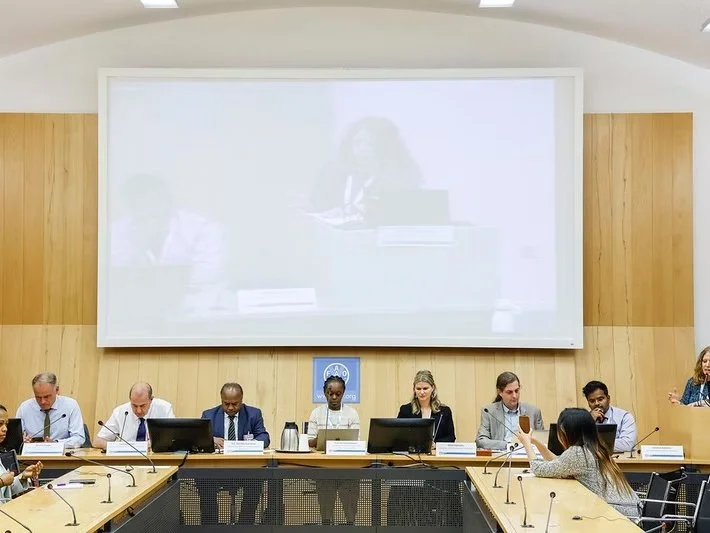 From proof to action: Hesat2030 at UNFSS+2