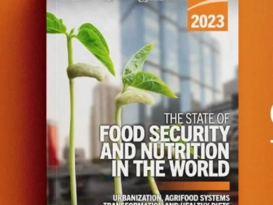Is the rapid rise of urbanisation the next food battle?