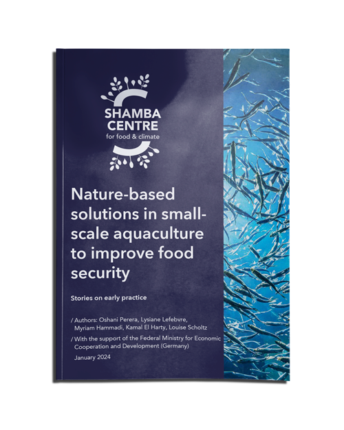 shamba-banner-publicationnature-based-solution.png