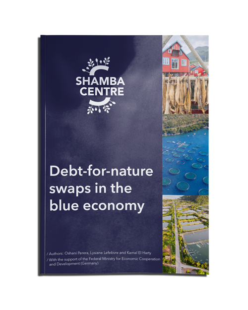 shamba-banner-publication_blue-debt.png