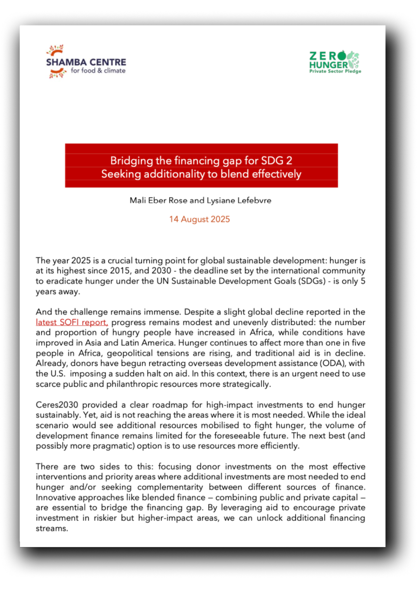 Report first page preview.png