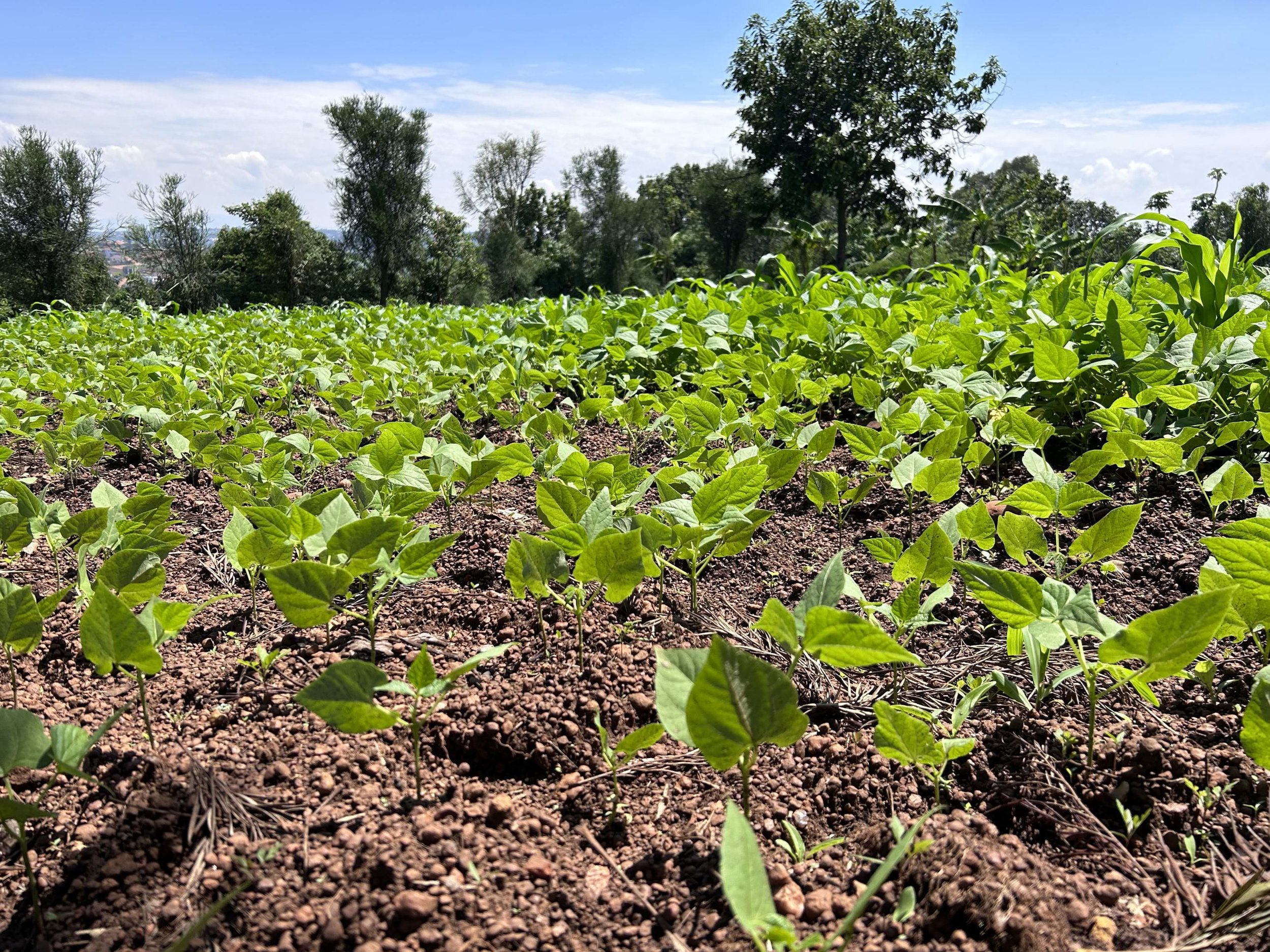 afa47058-ec38-4e5e-9b2a-115cea9c683d (1).jpg