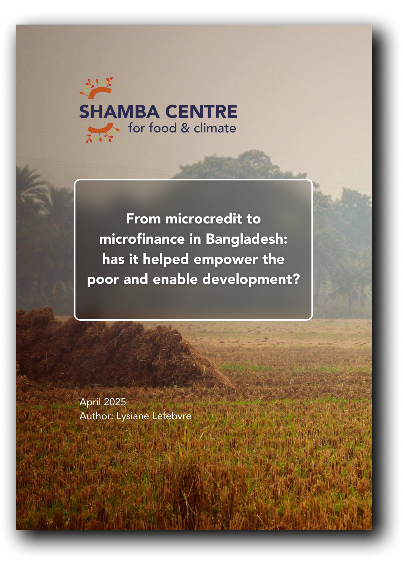 Report first page preview (1).png