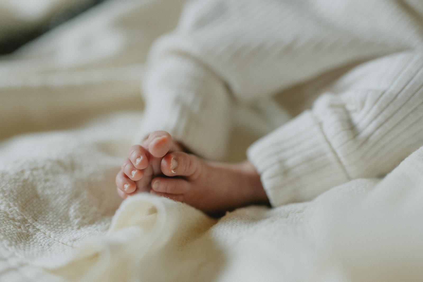 best-newborn-photographer-in-asheville-6.jpg