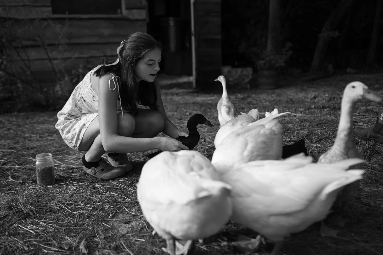 A girl crouching on the ground, feeding or interacting with ducks and swans in an outdoor setting.