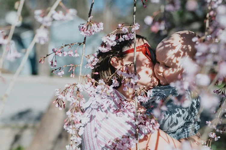 a mom kisses her baby with cherry blossoms in the foreground during a family photography session in Asheville