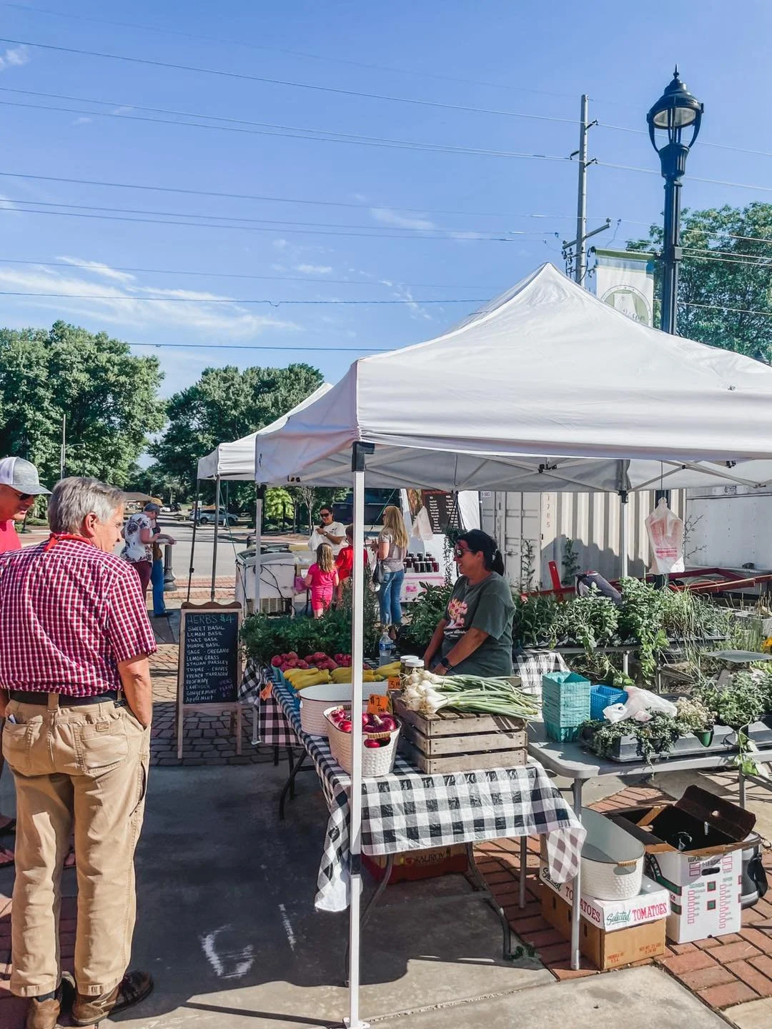 old.thyme.farmers.market3.jpeg