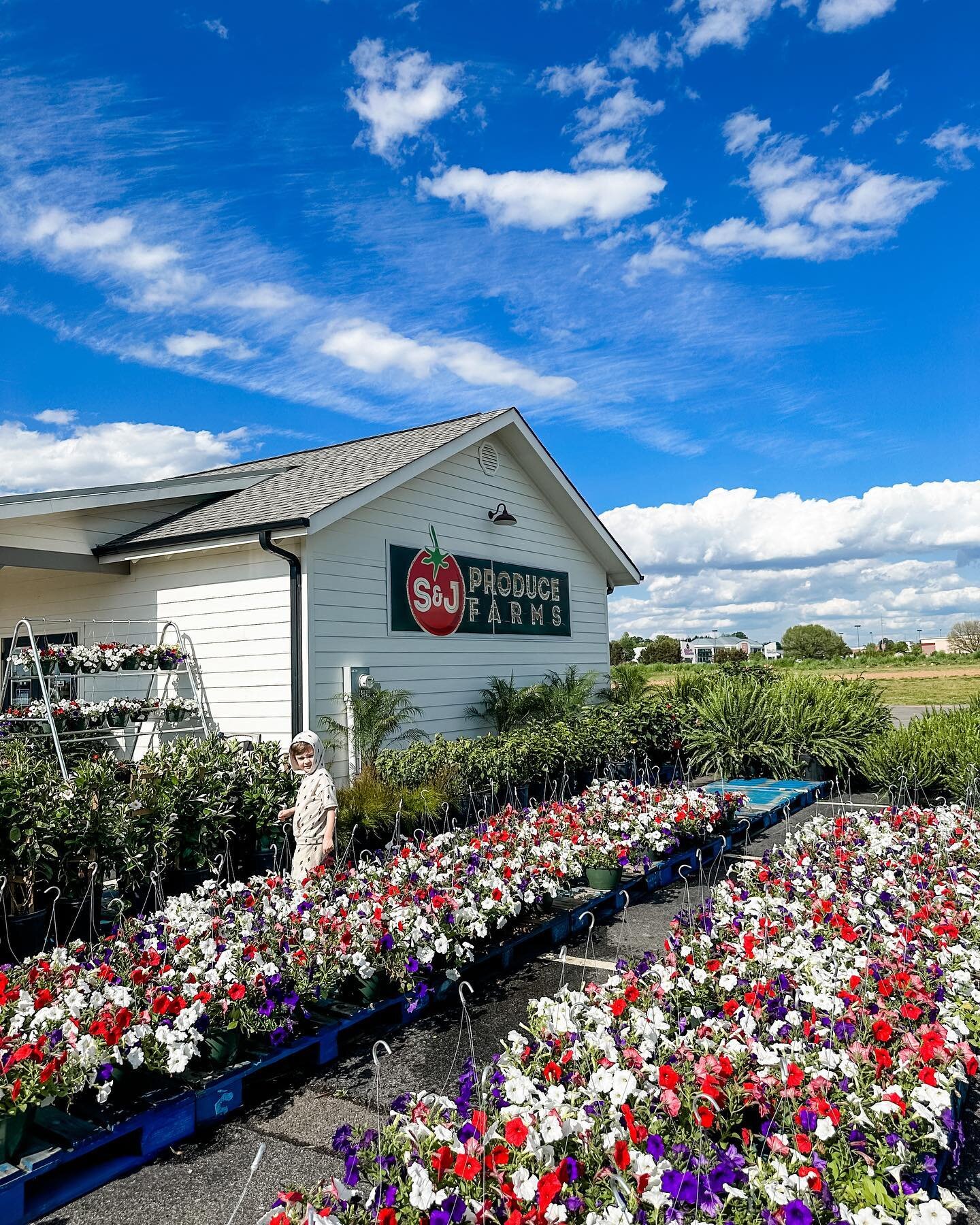 NOW OPEN for the 2023 season! @sandjproduce is such a sweet little spot in our city. 

Stop in for fresh veggies, peanut brittle, jams, fresh picked strawberries grown on site, apple butter, slushees, cheese, flowers, ferns, and so much more. 

If yo