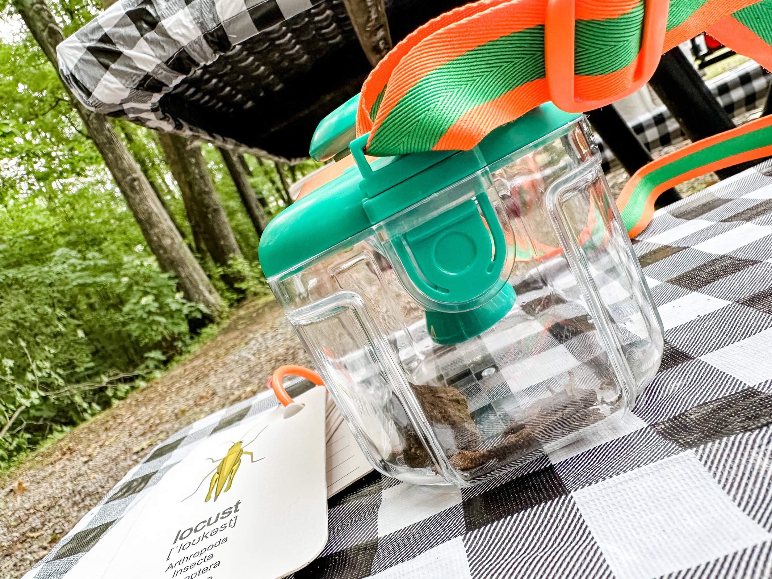 Bug catching kit