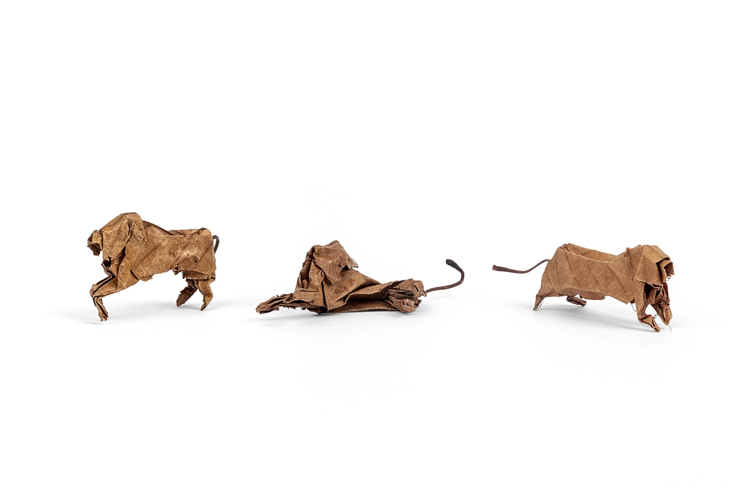 A series of 3 tiny lions made from folded brown leaves. 2 lions are standing whilst 1 is lying down. There is the appearance of large manes. All 3 have thin tails.