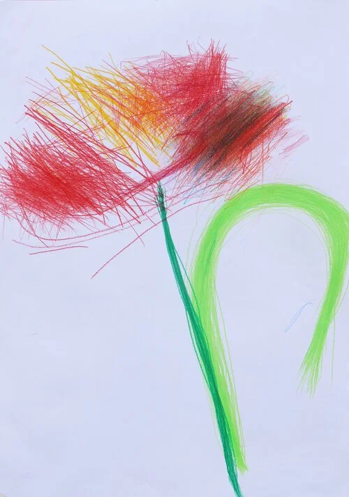 John+Black,+It's+a+Tulip,+2016,+Coloured+pencil+on+paper,+42x59cm,+16.5x23.2+inches (1).jpg