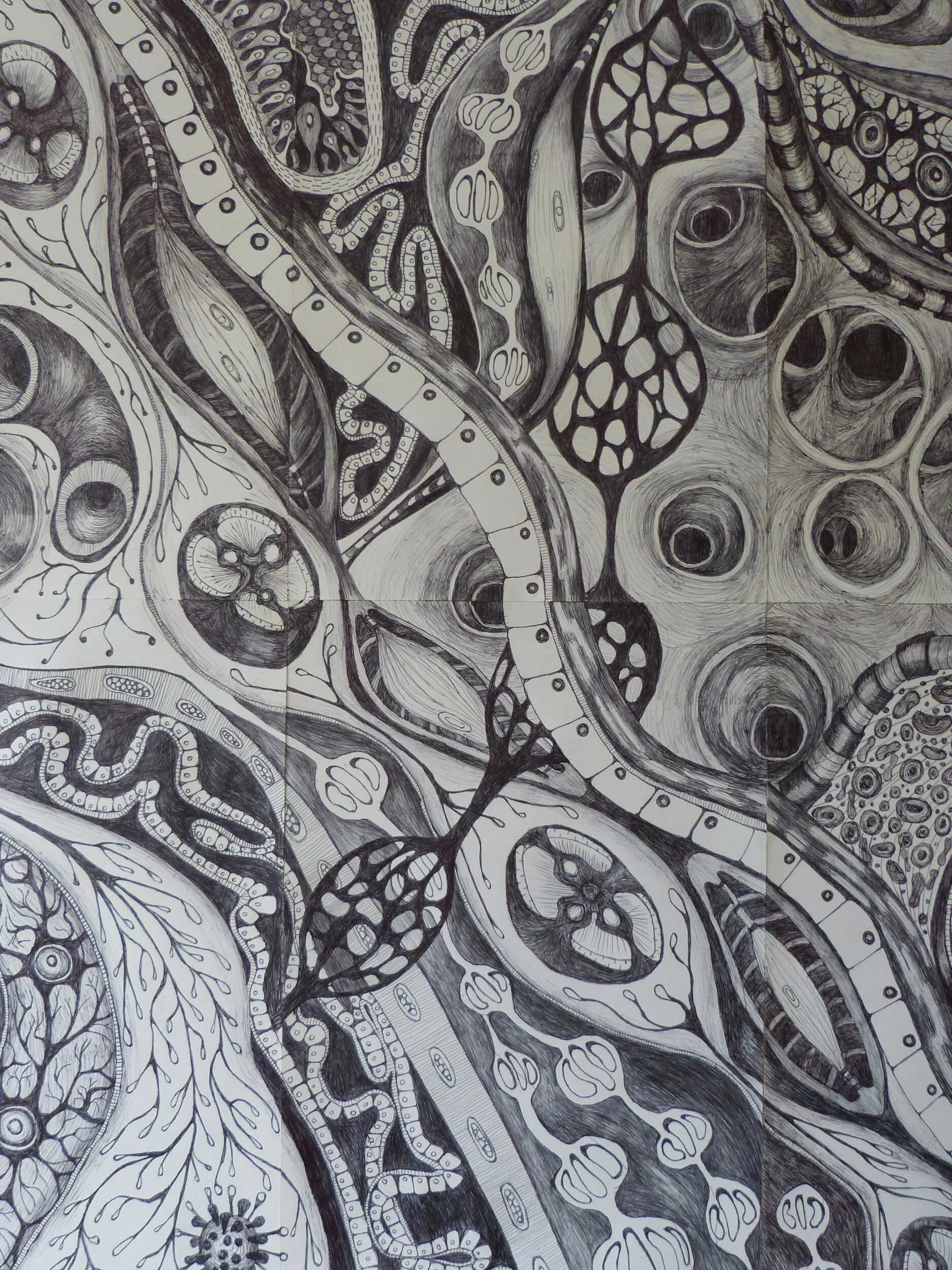 A white paper drawn on in black biro. Organic forms features and different thicknesses of marks. Many circular shapes flow into one another.