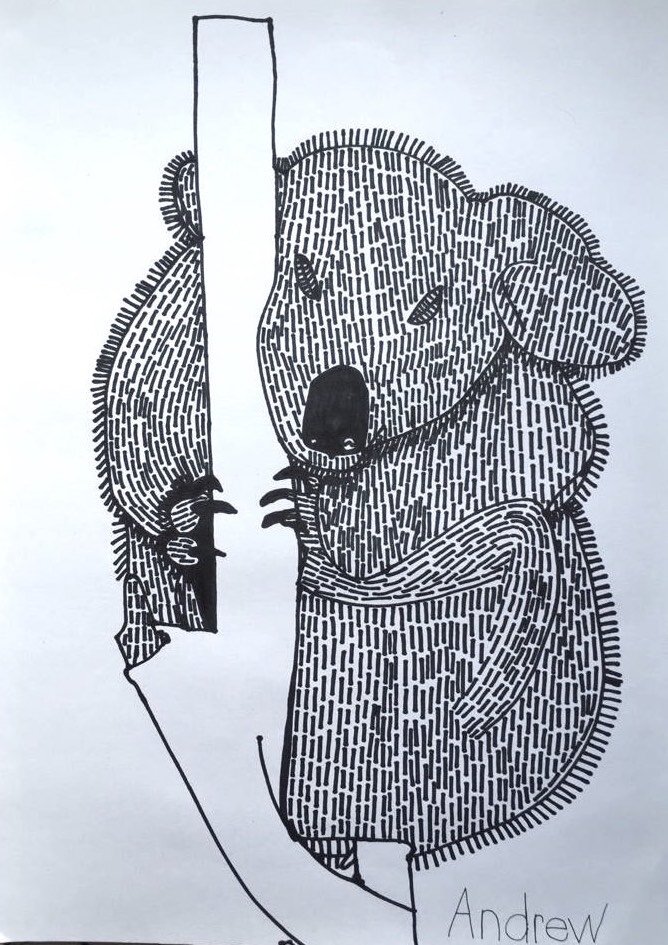 A black pen drawing of a koala on a branch and the koala has short black lines making up the texture on its bodt