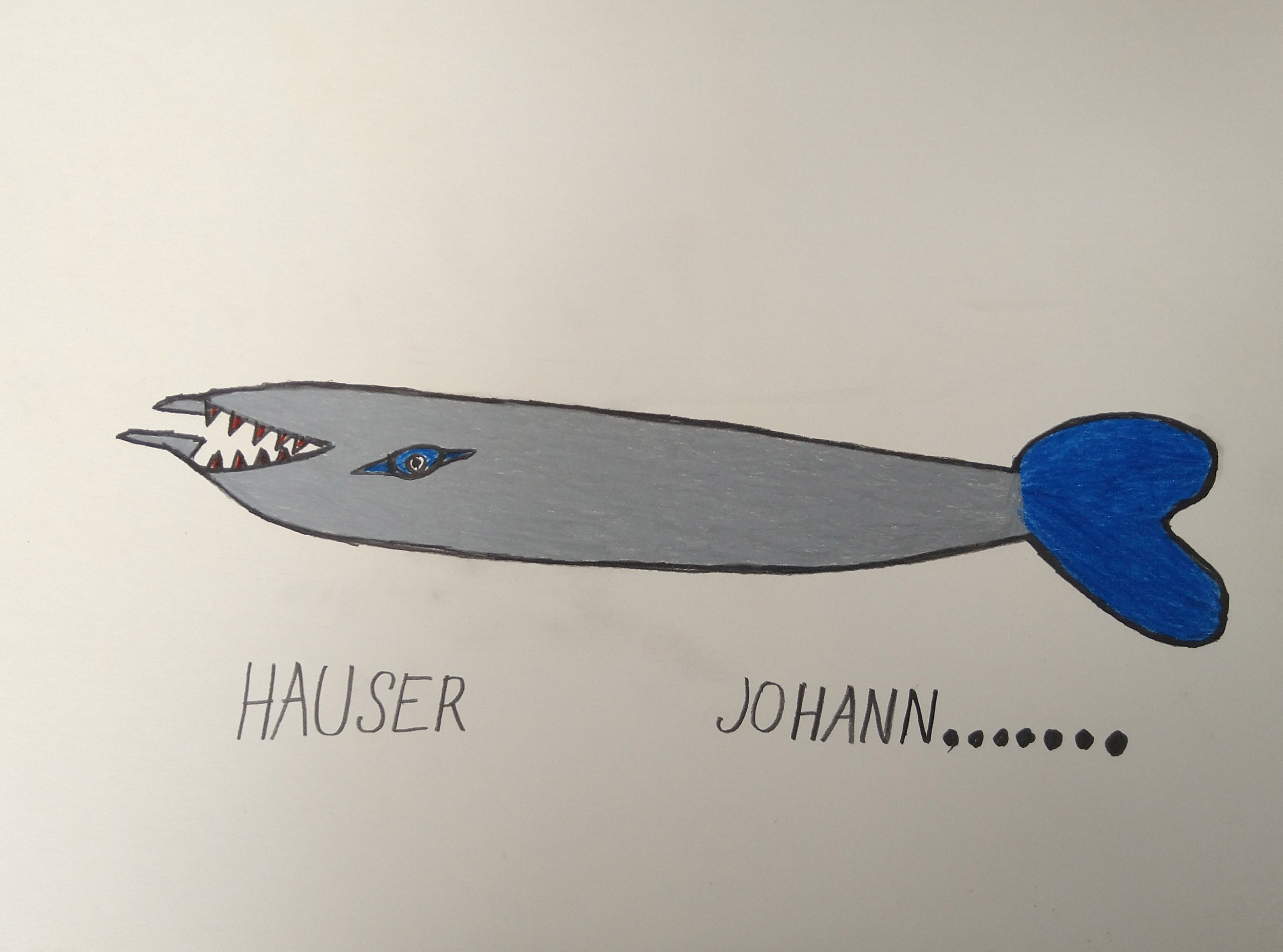  Johann Hauser Untitled, n.d. Pencil crayon on paper 40x29cm 