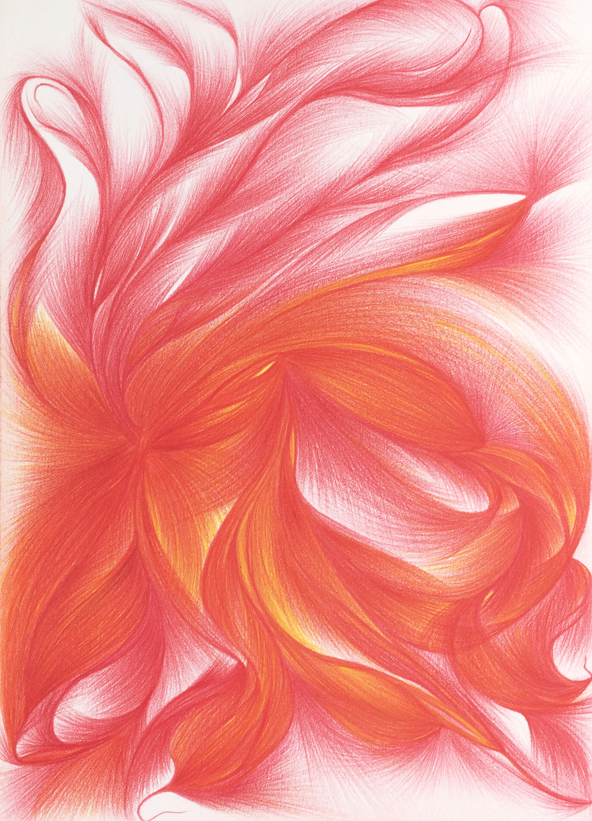 Watercolour pencil on paper in shades of pink &amp; orange. Palest orange shapes like petals of lily opening on left with many soft pink feathery, ribbon like shapes swirling to cover the paper.