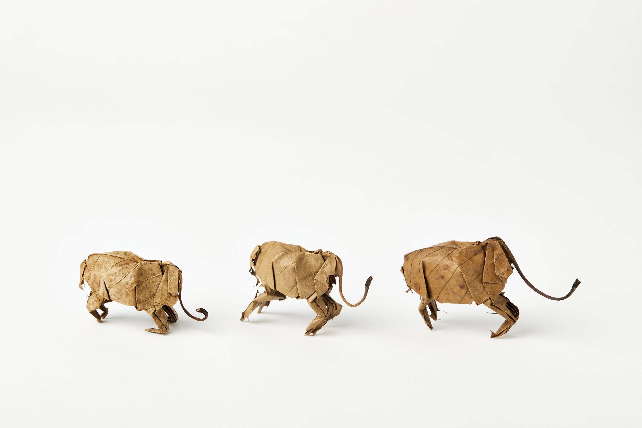 Yoshihiro Watanabe, Elephants (set 2), 2021, Leaf sculpture,Each piece is approx. 5cm : 2 inches. Photo by Laura Hutchinson.jpg