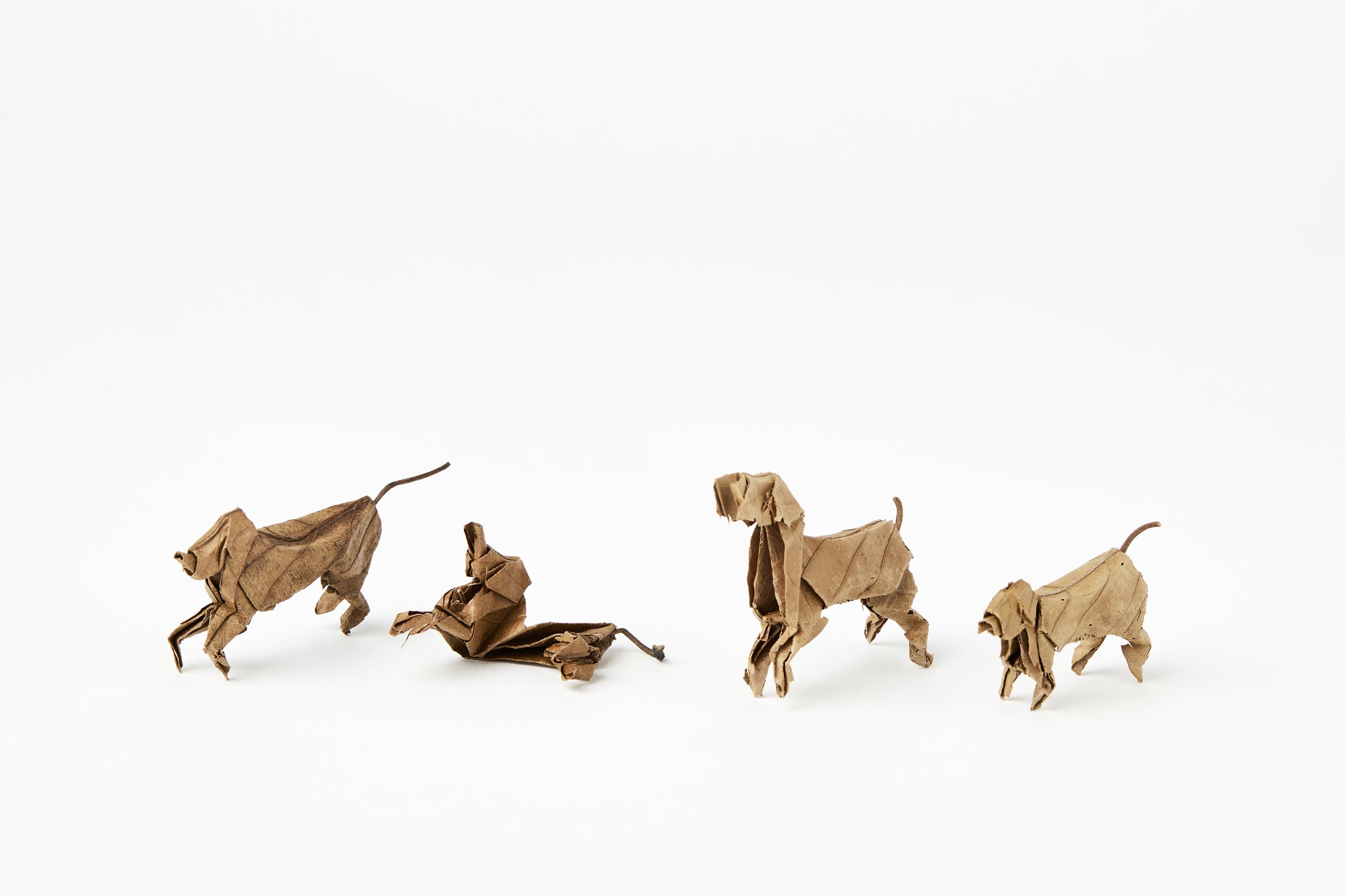 Yoshihiro Watanabe, Dogs (set 3 view 2), 2021, Leaf sculpture,Each piece is approx. 5cm : 2 inches. Photo by Laura Hutchinson.jpg