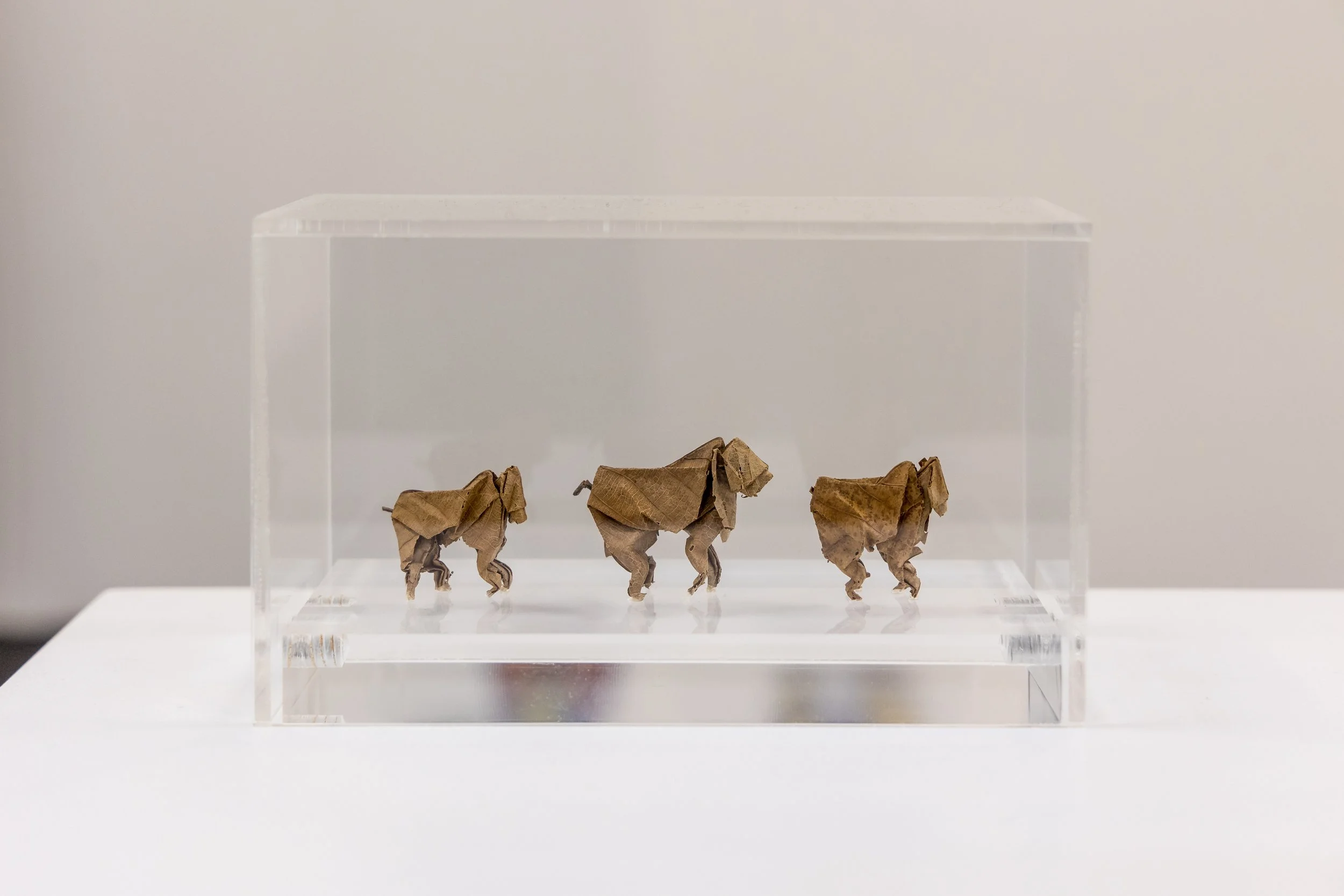 JenniferLaurenGallery_LondonArtFair-4000px-4O0A8221.JPG