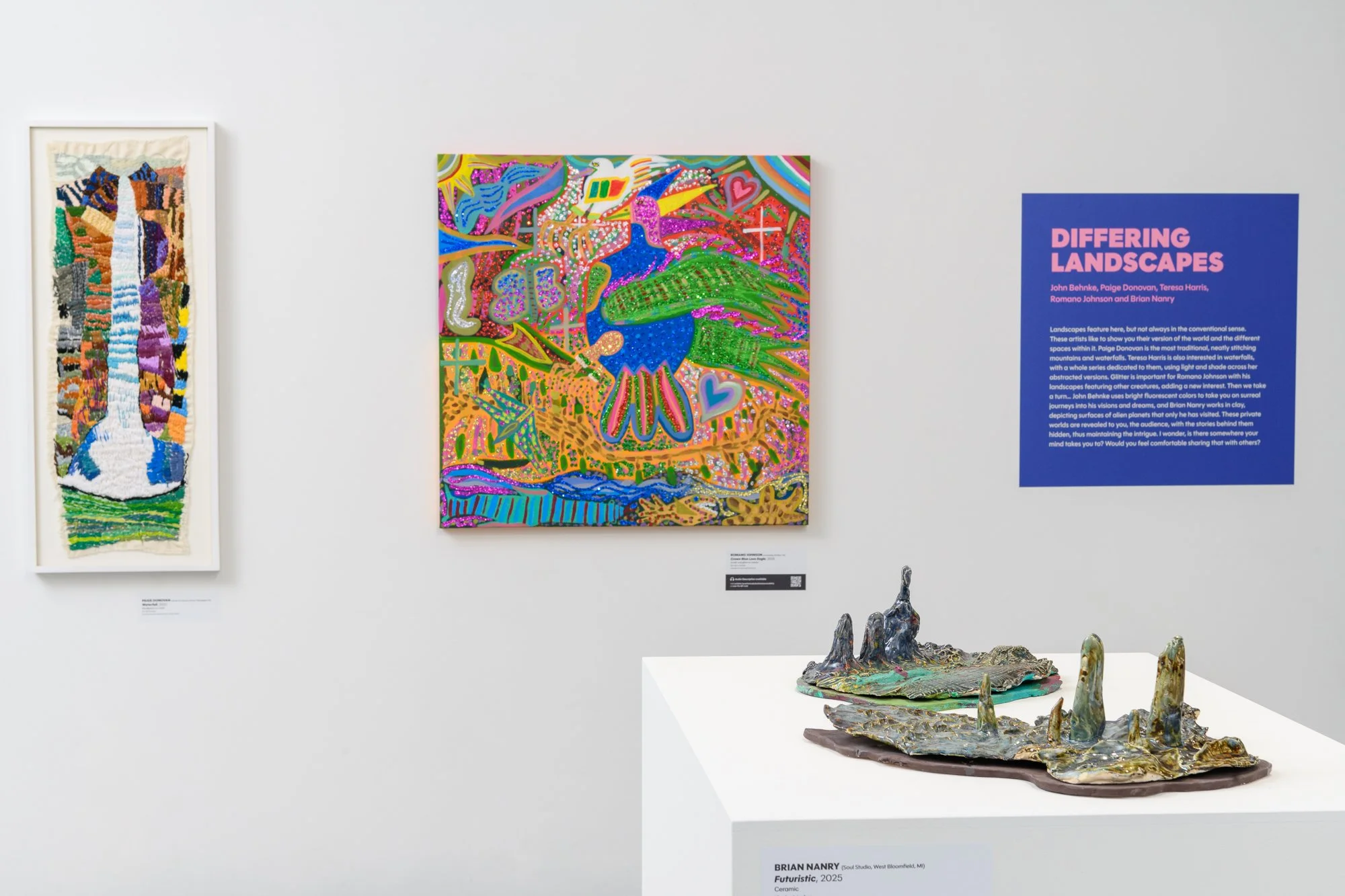 2025_Look_Everywhere_Installation-W-47.jpg