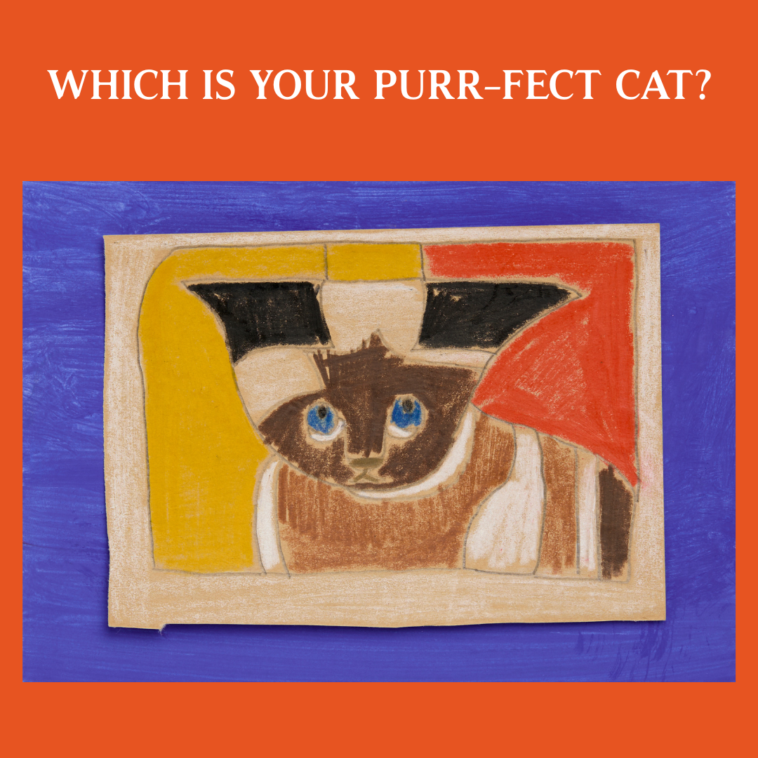 AVAILABLE NOW TO BUY | WHICH IS YOUR PURR-FECT CAT?