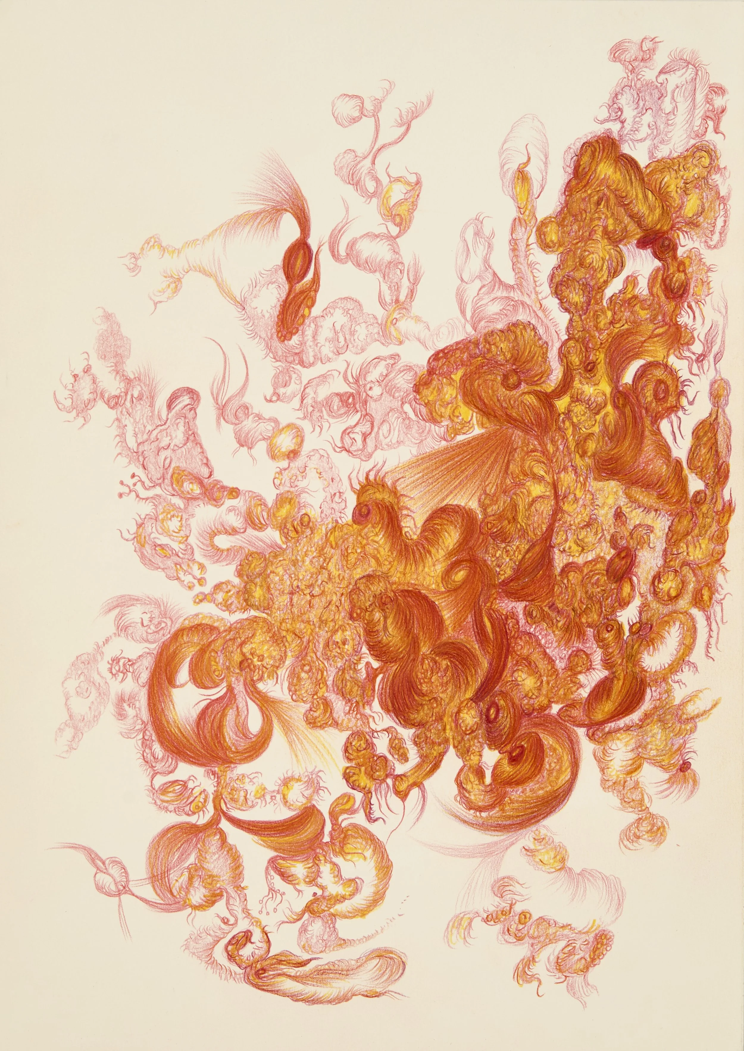 Cara Macwilliam, orange one, Photo by Laura Hutchinson copy.jpg