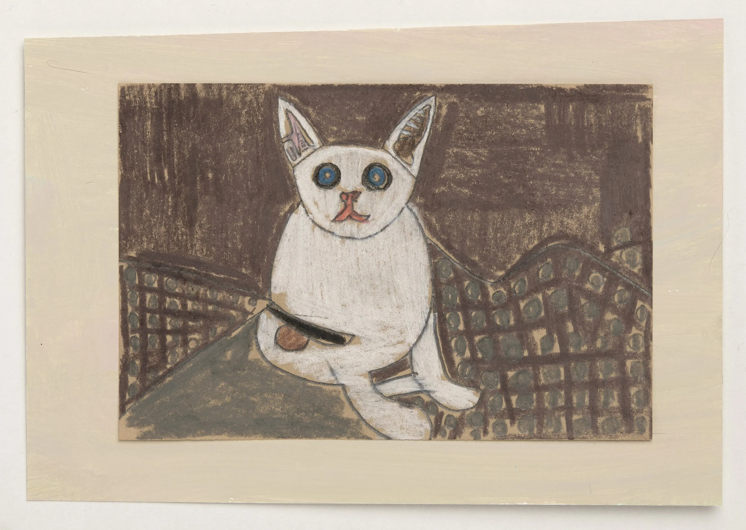 Cat (24)