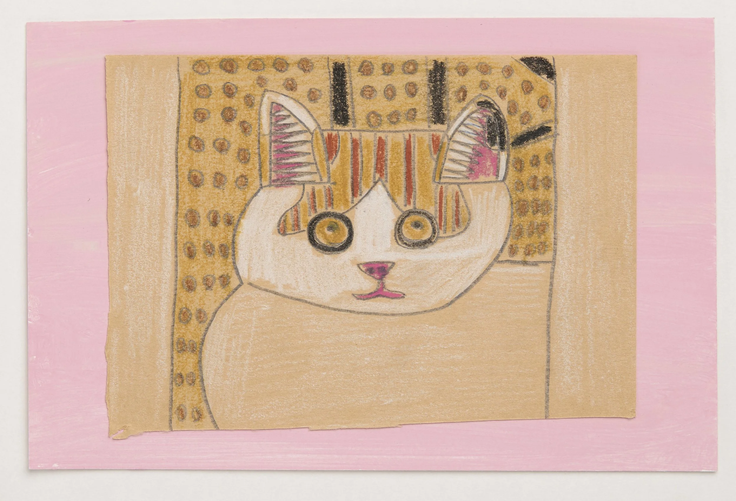 Cat (8)