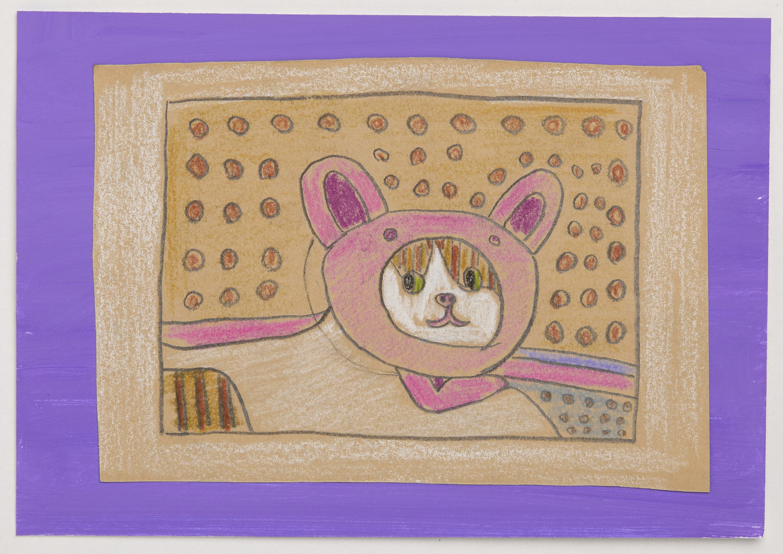 Cat (20)