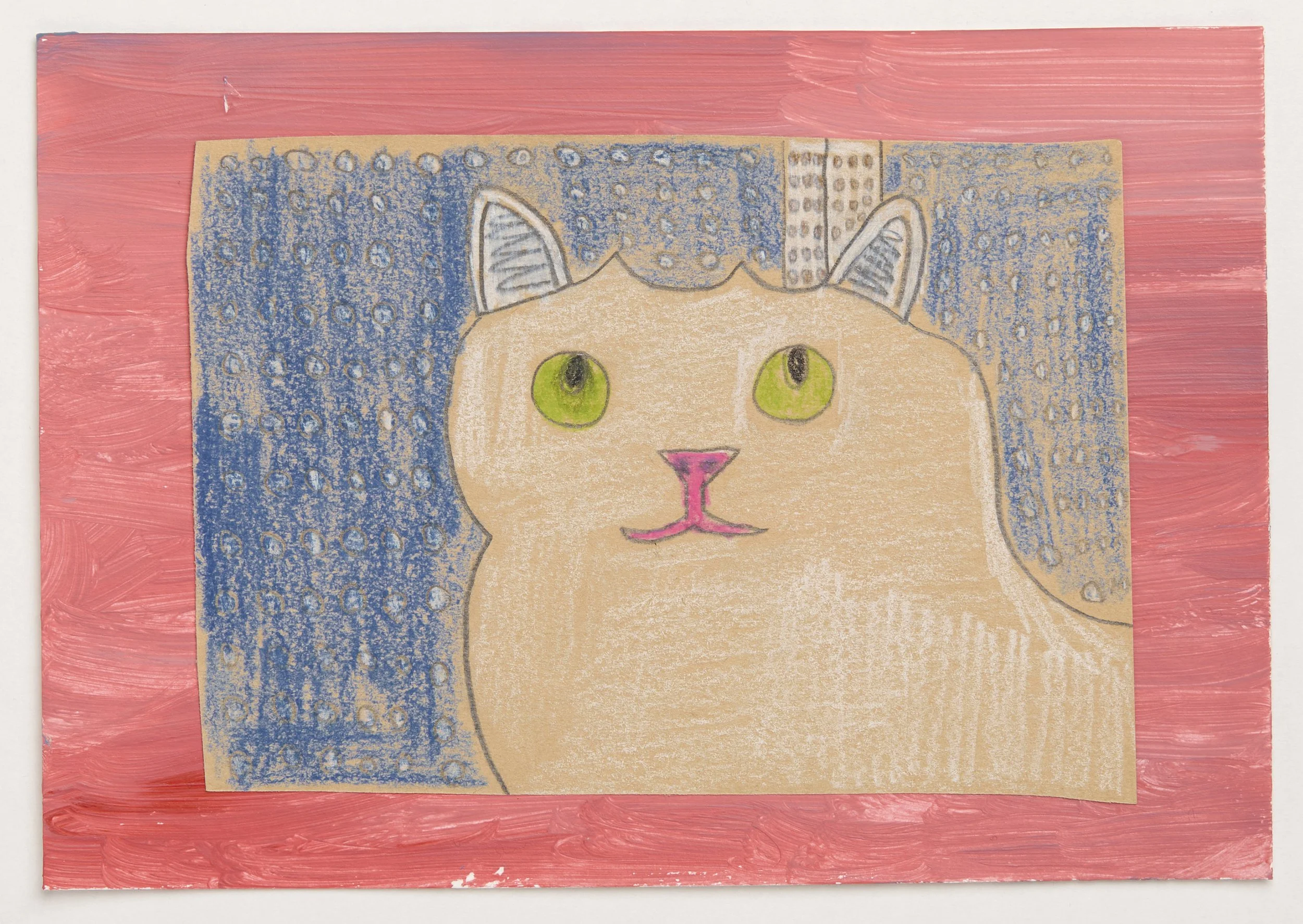 Cat (6)