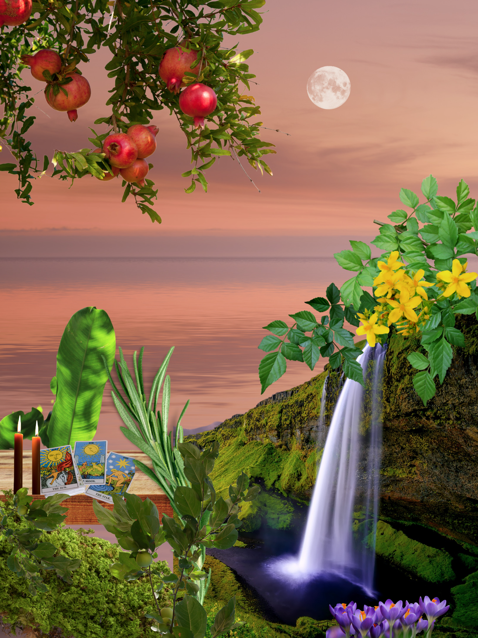 tarot & oracle reading