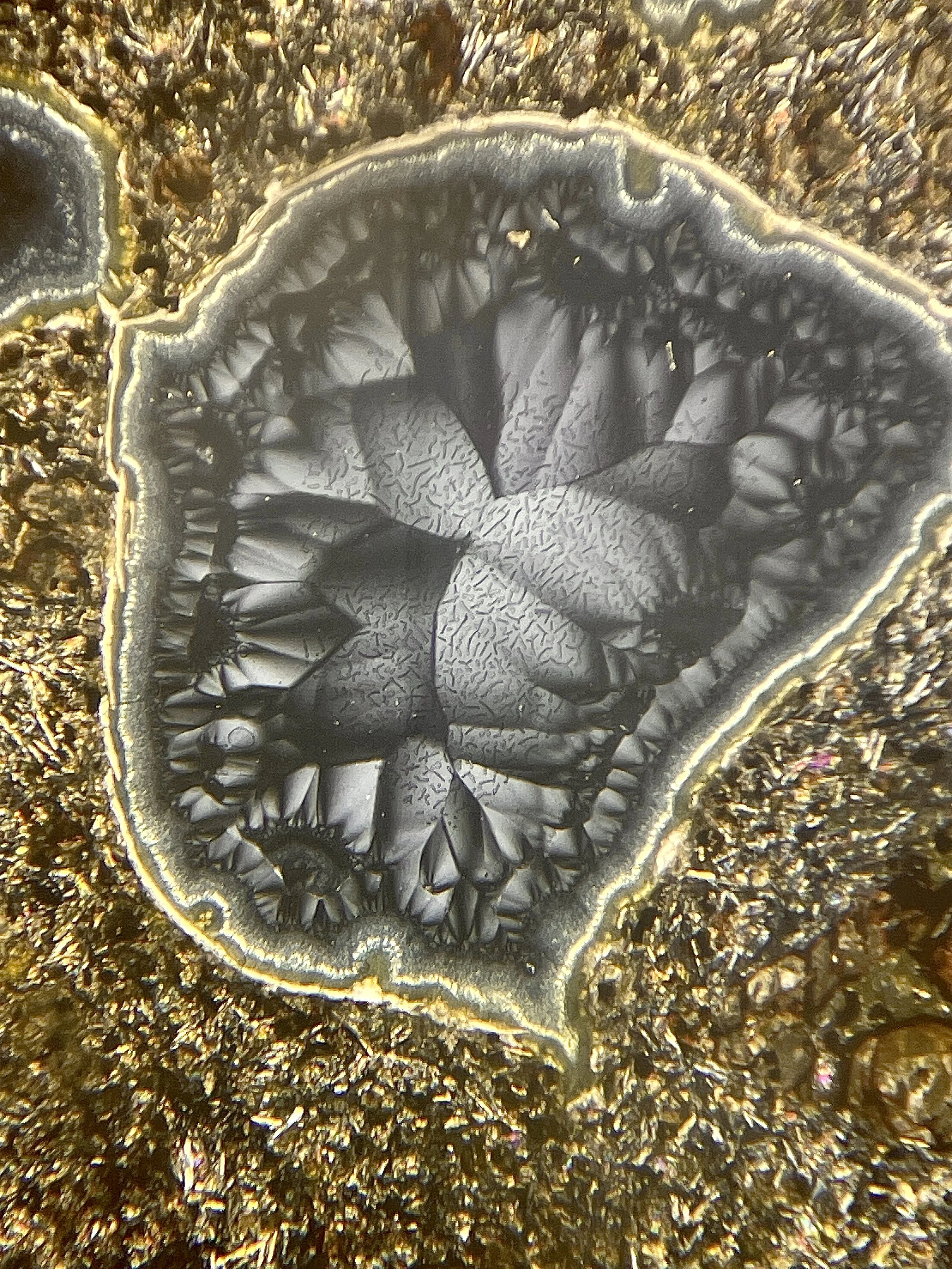 Close-up of a gold and black mineral or metallic surface with intricate textured patterns.