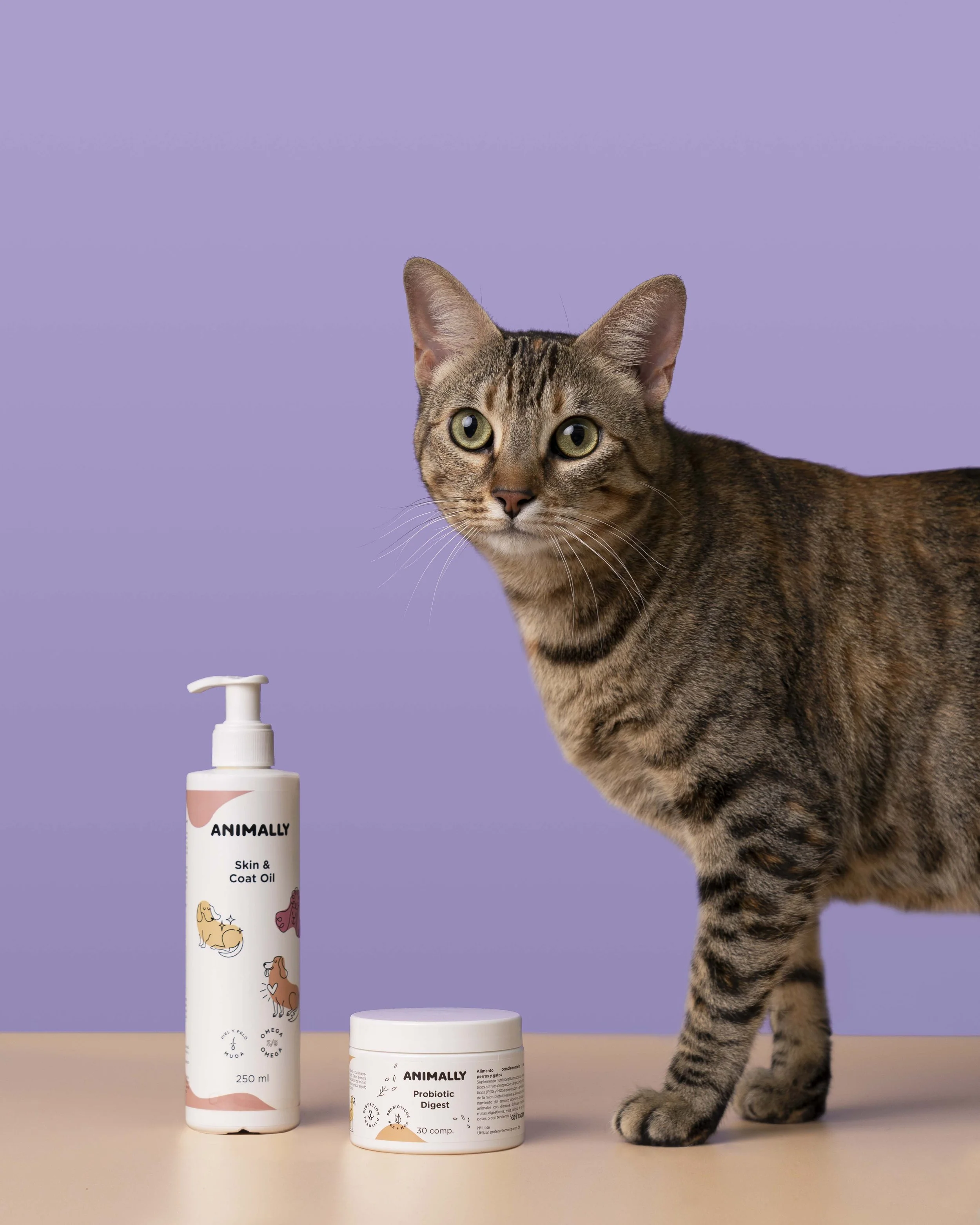 6-gato-web.jpg