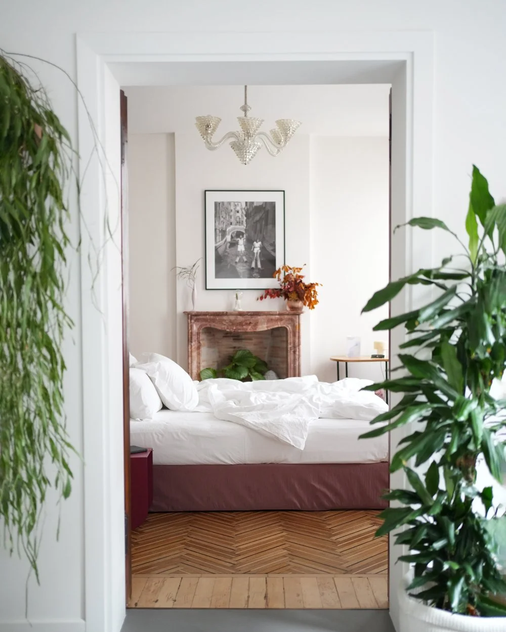 Welcome to my DOM: Casa Flora