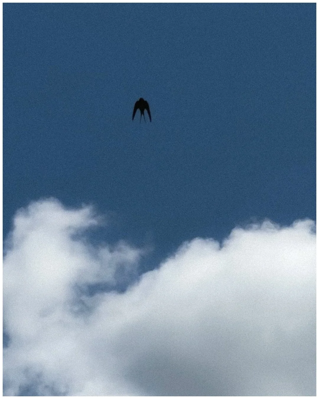 Instagram post - 12.JPG