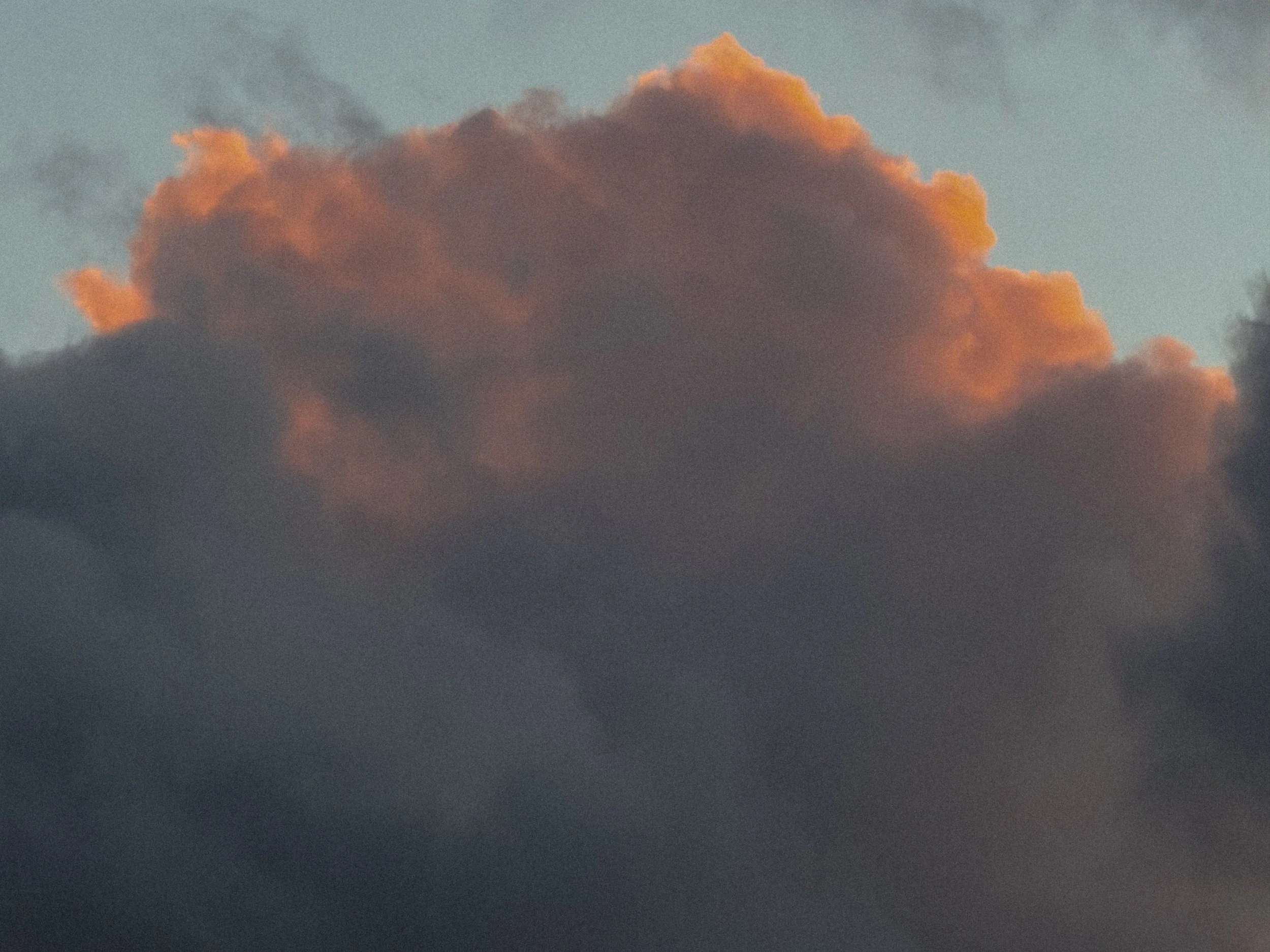 IMG_4191.jpg
