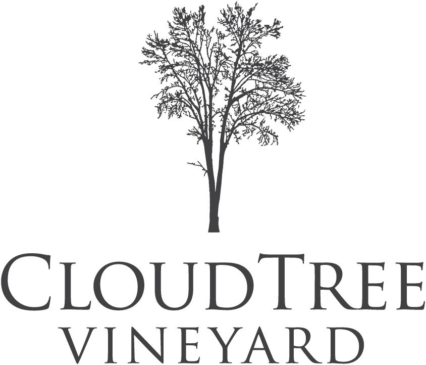 CloudTree Vineyard