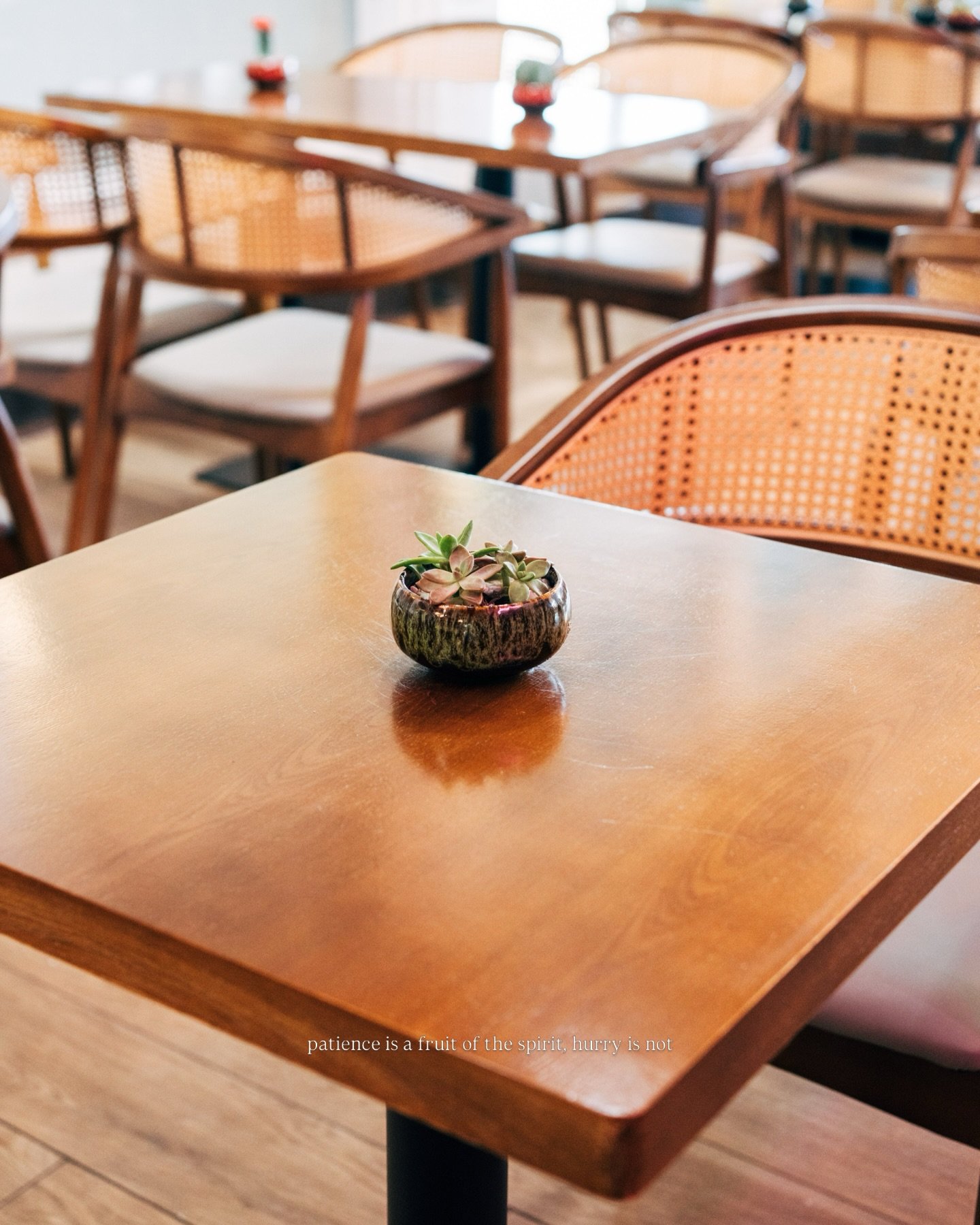 Some shots for @stephsbakeryfl 🪴

//

#dailyphotography #productphotography #coffeeshopphotography #coffeeshopphotos #coffeephotography☕️